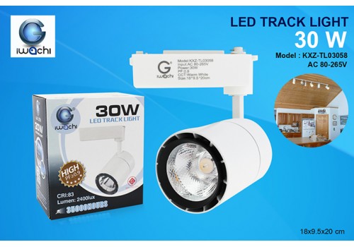 IWACHI-LED-TRACK-LIGHT-30W